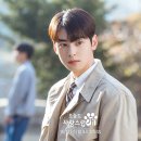 사랑스럽개 이미지