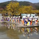 샛노란 봄 풍경을 만나다, 전남 구례산수유꽃축제 이미지