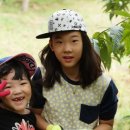 선인태권도장 이미지