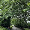 장꽁 | [충남 태안 안면도]장꽁펜션 민들레방 태안가성비숙소 바다앞펜션 수영장 (+길목식당 포장후기)