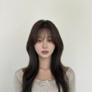 브이엘
