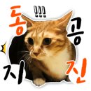 댕댕방앗간 이미지