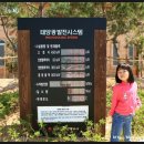 남도3 태양광발전소 이미지