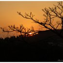 칠십리교 이미지