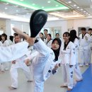 대영태권도장 이미지