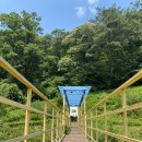 리베하임파크 | 경기도가볼만한곳 추천, 노랑다리 미술관 (ft. 카페, 미술, 식물, 동물 모두 즐길 수 있는 곳)