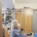 머리놀이터 이미지