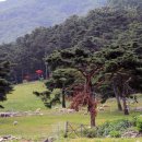 무등목장 이미지