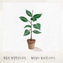 힐링선