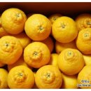 김명선농장 이미지