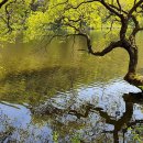 늘처음처럼 이미지