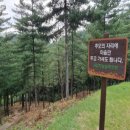 보령센터-003 이미지