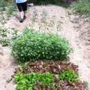 현정농장 이미지