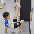 백산 태권도 이미지