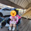 (애견동반 가능 캠핑장 추천) 아이랑 가을 첫캠핑 연천 나린오토캠핑장 후기
