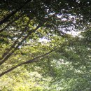 호수한의원 이미지