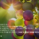 하나님의교회 새 언약 유월절 / 작금의 시대 필수! 이미지