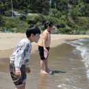 더카이트21 이미지