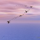 (주)엘샤다이 이미지