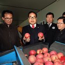 대구경북능금농협 상주지점 뉴시스