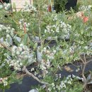 윤진농장 이미지