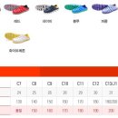 카슈즈