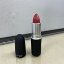 스테이 달(stay 달) | [맥 립스틱] 파우더키스 스테이큐리어스 stay curious 내돈내산 한달사용후기