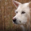 돌무덤농장 이미지