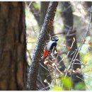 쉿 비밀이야 이미지