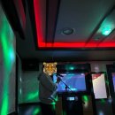 도미솔노래방 이미지