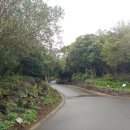 제주민속촌 이미지