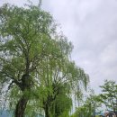 행복유황사우나 | [충주 여행] 충주맨 인정. 뻔한 코스 피한 충주 2박 3일 후기