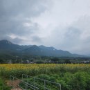 위천119안전센터 이미지