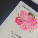 수채캘리그라피 Daum카페