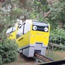 내리5일장 이미지