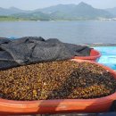 섬진강재첩국 이미지