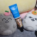 환절기 피부진정 주름에는 미라클 시드니 시리즈 A 호주주름크림 후기