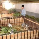 상평농장 이미지