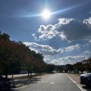 영동와인터널 화장실 | 충북 영동 아이와 함께 가족여행 코스로 딱인 영동와인터널 후기