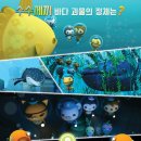 바다탐험대 (옥토넛 시즌3) 이미지