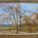 상주박물관 이미지