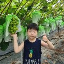 조은농장2 이미지