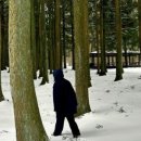 어물농장 이미지