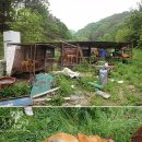자유농장 네이버블로그