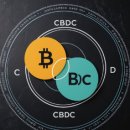 CBDC란? 뜻 정의 시행 대장주 장점 한국은행 디지털화폐 도입 논란과 미래 전망 총정리