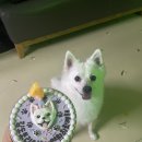 간식세끼 이미지