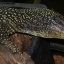 뉴그린 농장 이미지