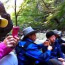 추원모차골 이미지