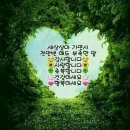 헤어 예다움 이미지