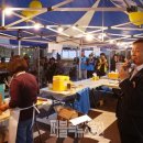 징검다리 이미지